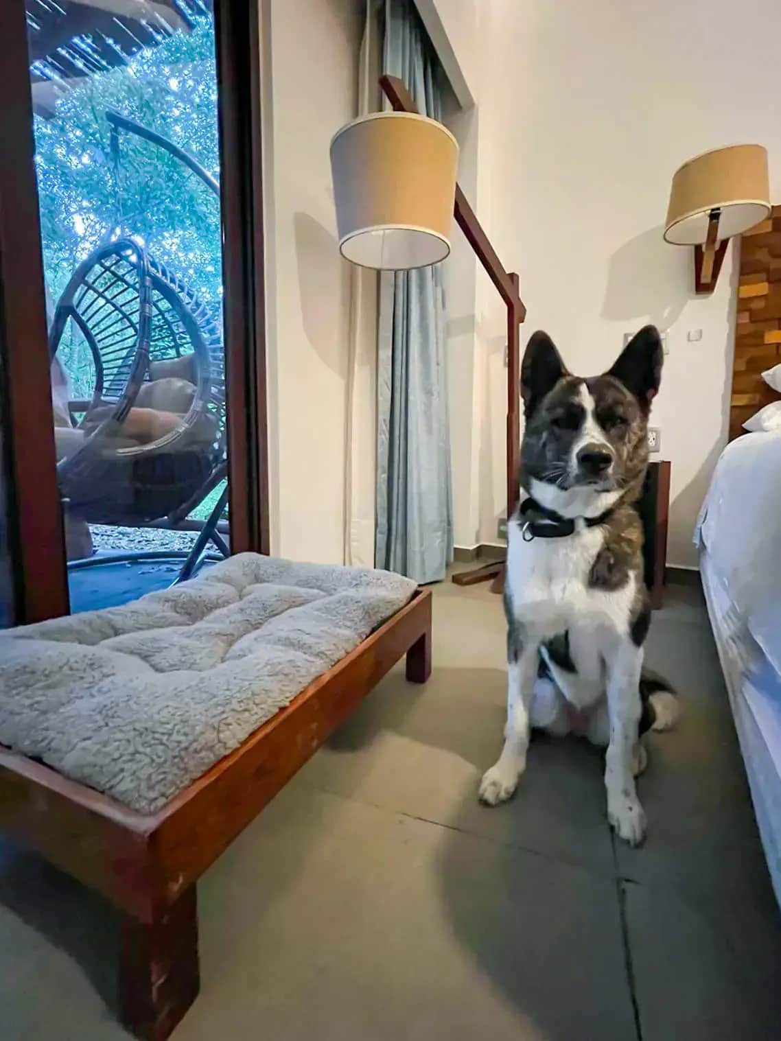 Pet friendly Bacalar