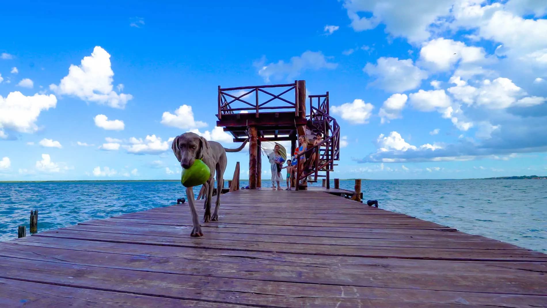Pet friendly Bacalar