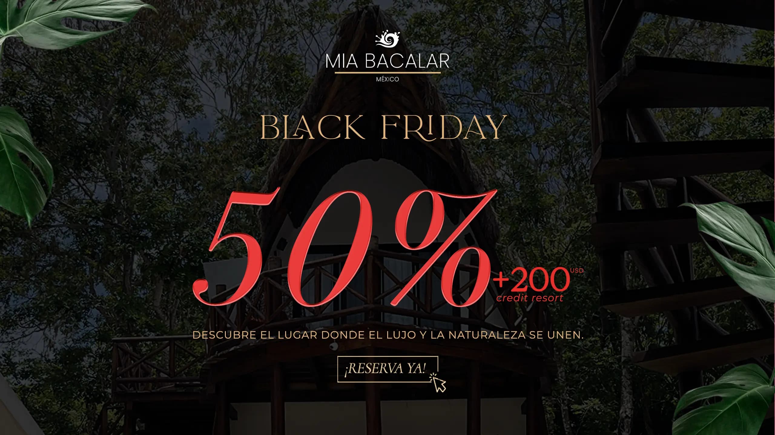 BLACK FRIDAY